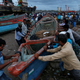 Image for article titled 今週のQuartz:若者の飲み物はどう変わったか?、インドの海から魚が消えた、ナイジェリアのエドデック
